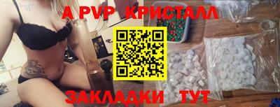 прущие грибы Малгобек
