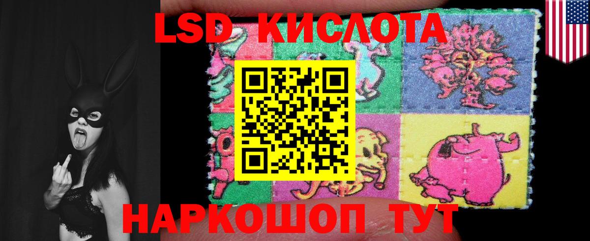Электрогорск  LSD-25 экстази кислота  LSD-25 экстази ecstasy  Вход с VPN 
